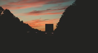 Modern trucks transporting goods on a highway during sunset.