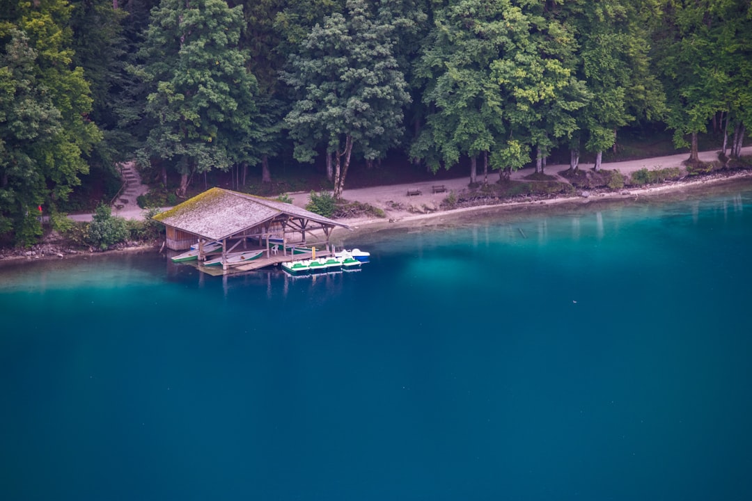 brown wooden house on body of water