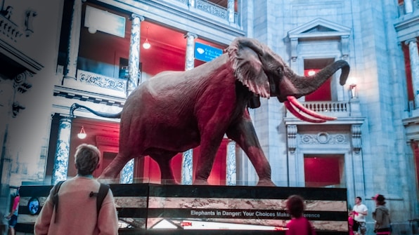 A large elephant sculpture stands prominently in the center of an ornate building with classical architecture, featuring detailed pillars and intricate designs. Several people are observing the sculpture, highlighting the educational or cultural setting of the scene.