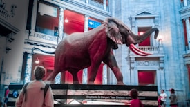 A large elephant sculpture stands prominently in the center of an ornate building with classical architecture, featuring detailed pillars and intricate designs. Several people are observing the sculpture, highlighting the educational or cultural setting of the scene.