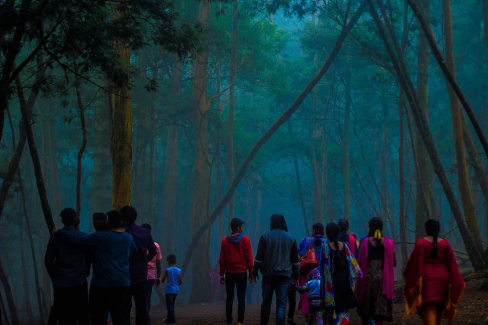 people walking in forest