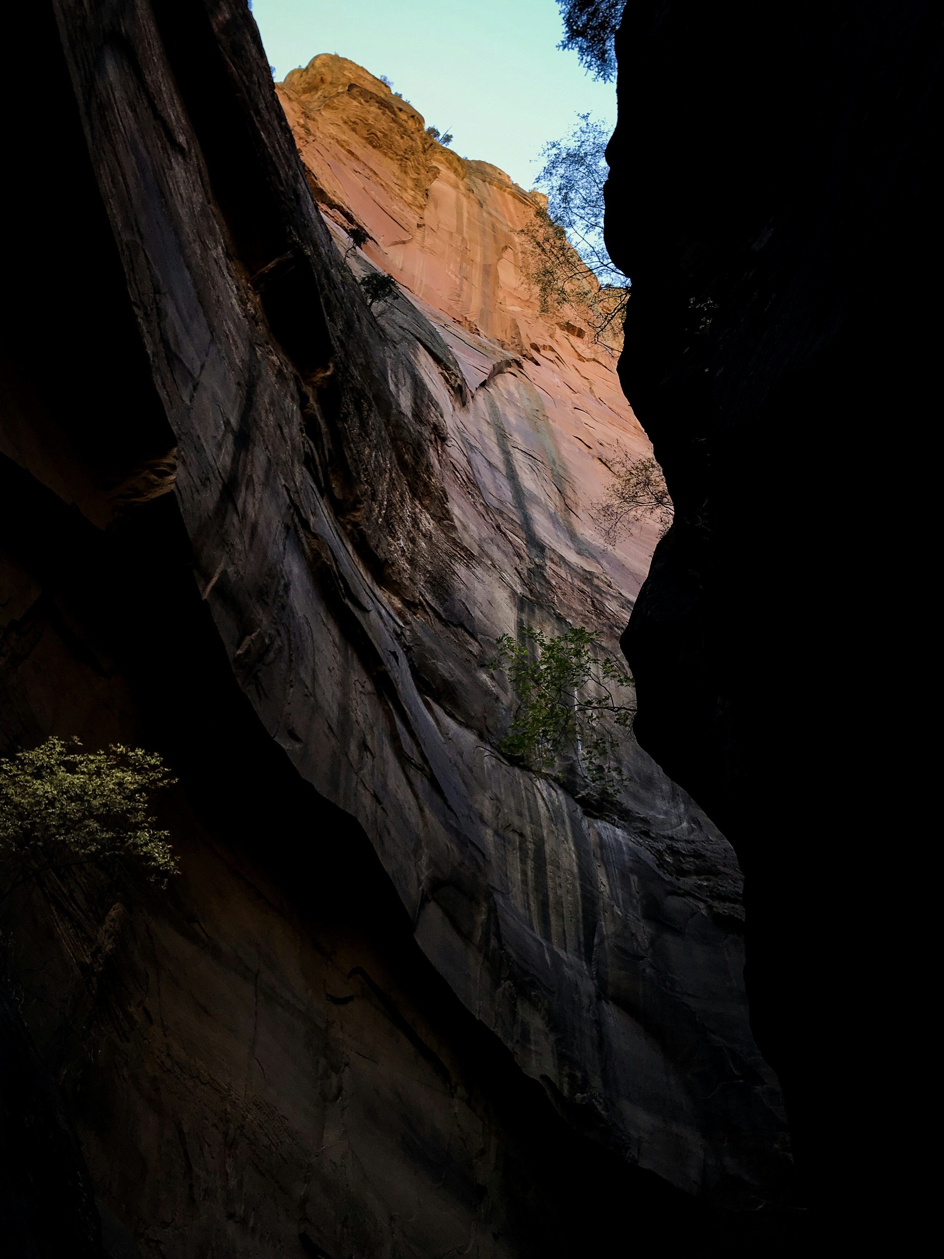 Photo by bradleyziffer