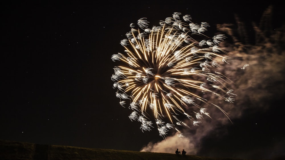 fireworks in the sky