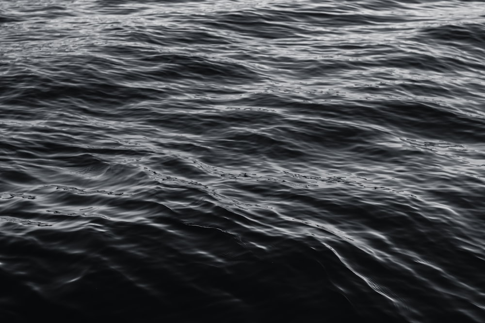 Foto en escala de grises del cuerpo de agua