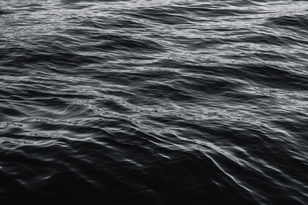 grayscale photo of body of water