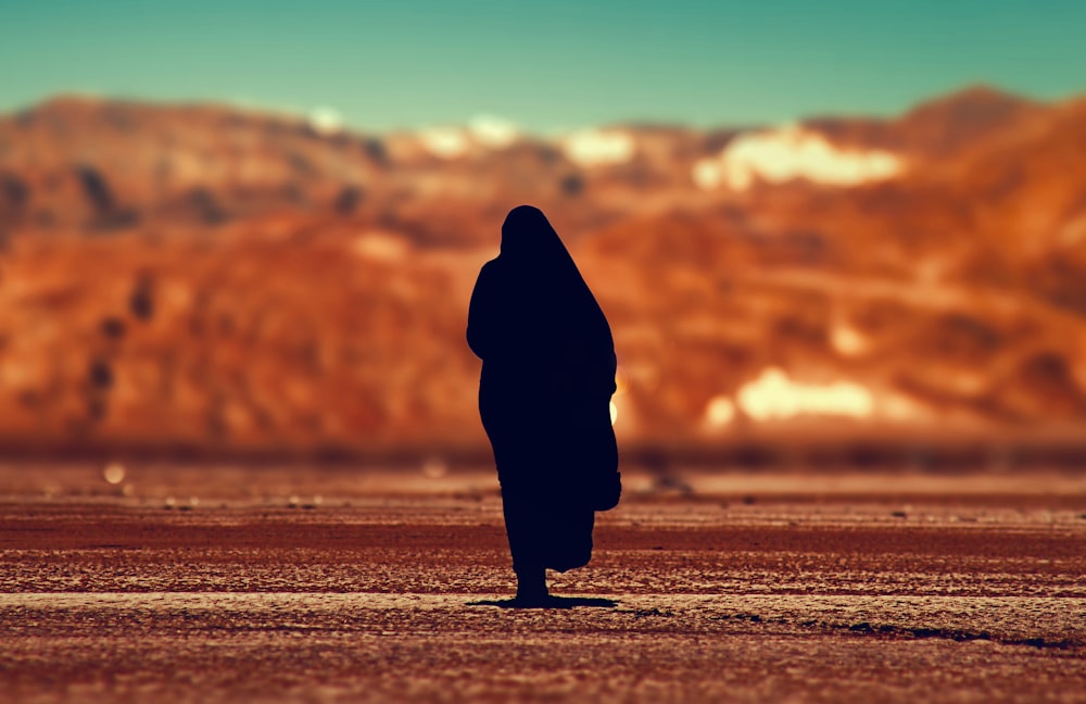 silhouette of person walking on ground at daytime