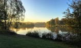 A serene nature scene with a calm lake reflecting the morning sky.
