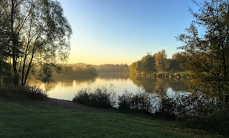A serene morning scene with a person meditating by a calm lake surrounded by lush greenery.