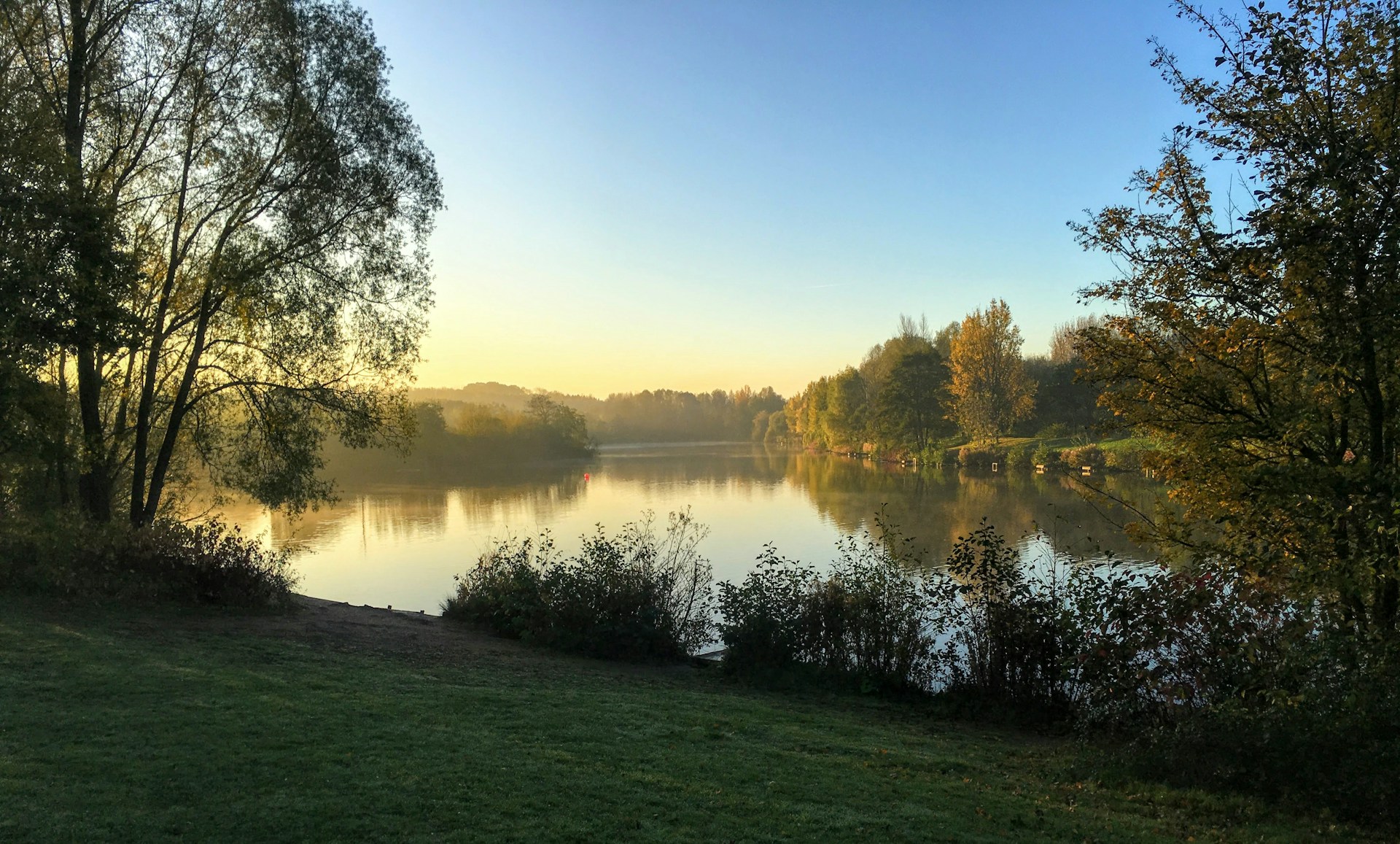 A serene landscape with soft morning light filtering through tall trees beside a calm lake.