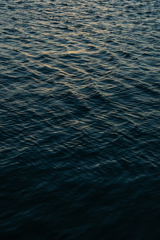 body of water in Langebaan South Africa