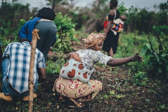 Several people are engaged in agricultural activities in a lush, green setting. A woman, with a baby strapped to her back, appears to be pointing or reaching out, while others around her tend to the plants.