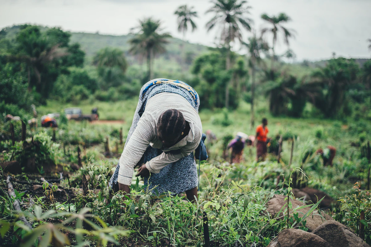 Women learning climate-smart farming practices