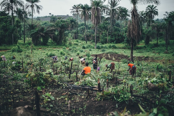 Discover Sierra Leone: A Traveler's Guide