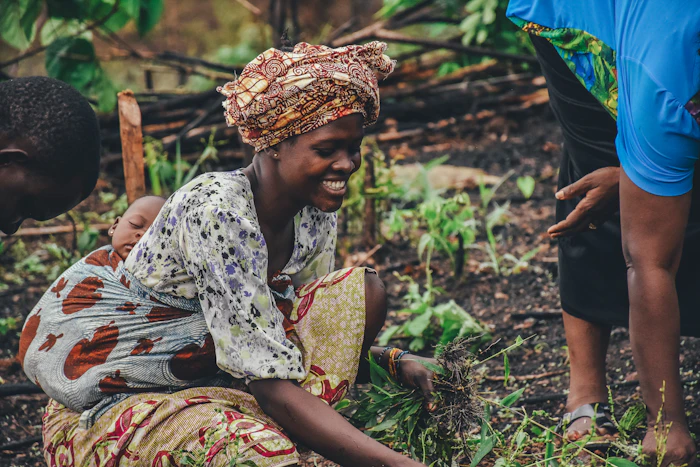 African woman harvesting crops