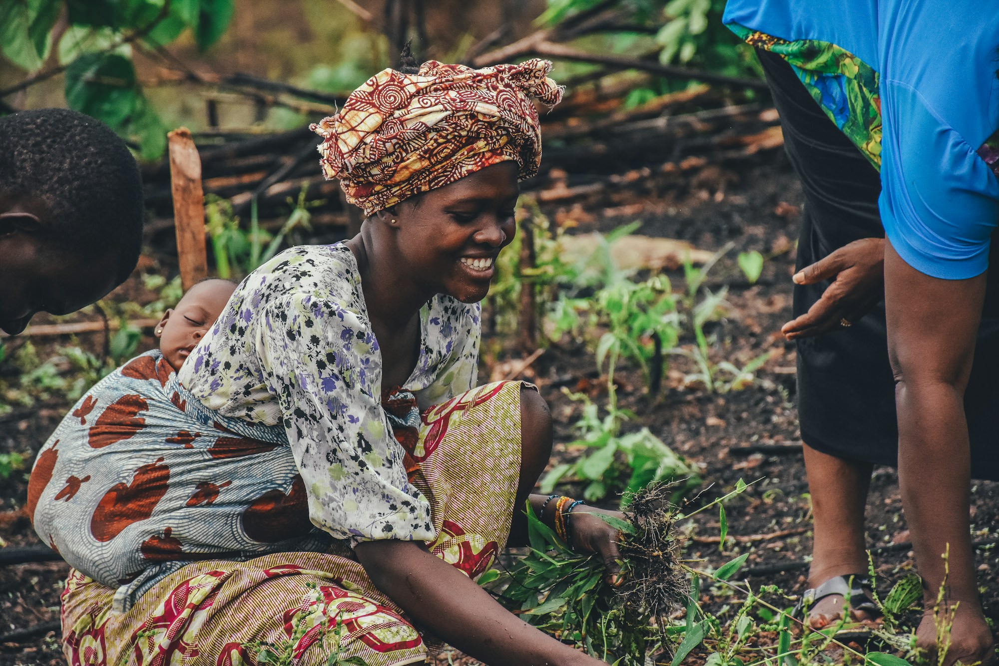 Exploring Sierra Leone: A Traveler's Guide