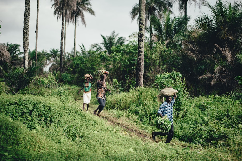 three people carrying basket on head while walking on grass field