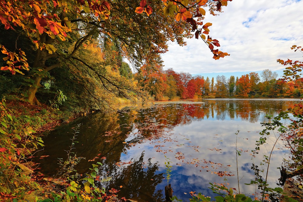 Flussfotografie