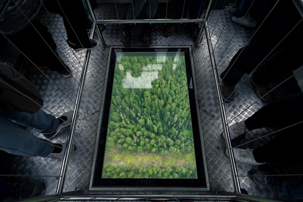 Luftaufnahme von Waldmalerei umgeben von Menschen