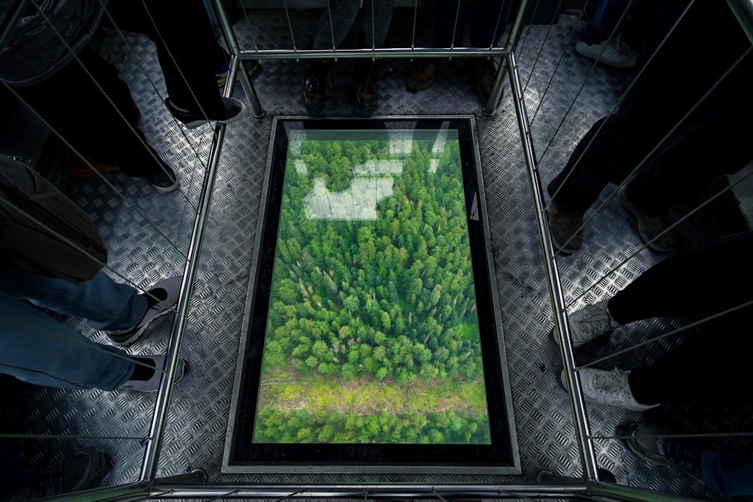 aerial photography of forest painting surrounded by people