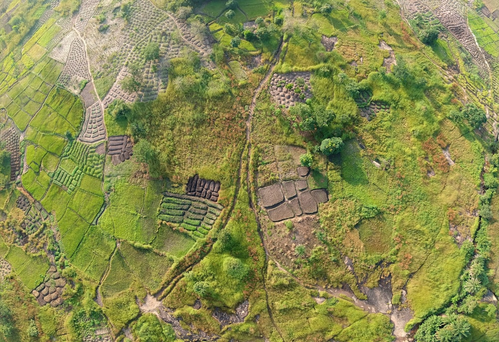 Fotografía aérea de un campo de hierba verde