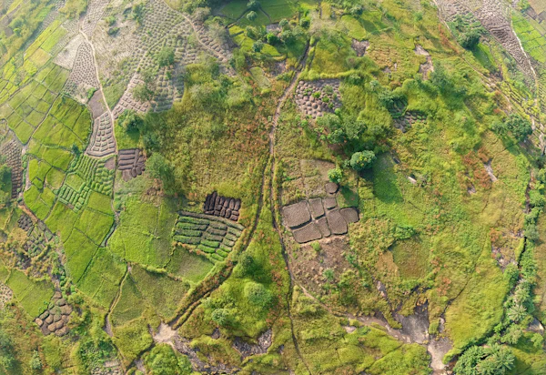 Vue aérienne de terres agricoles
