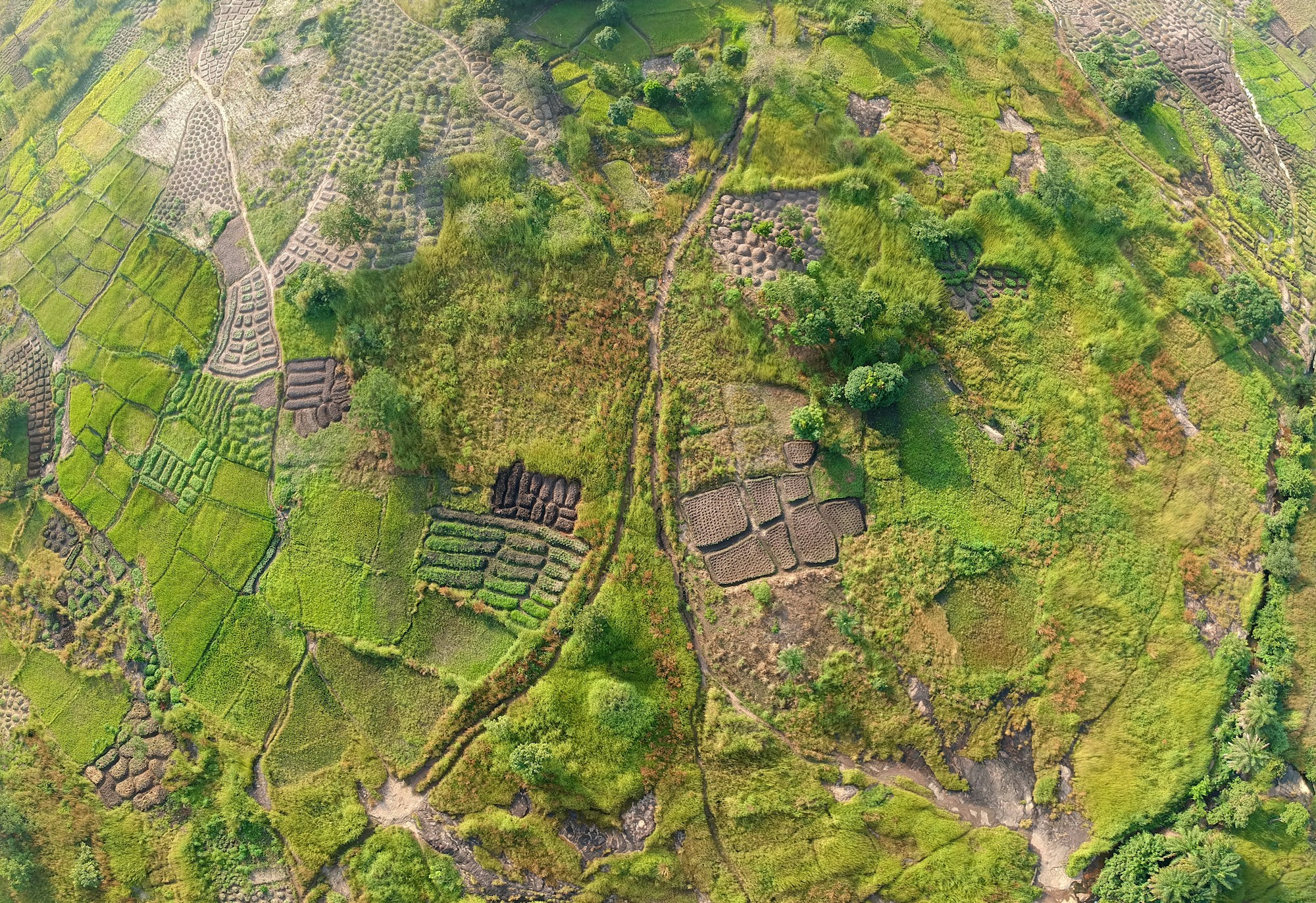 Equatorial Guinea: Unveiling Local Culture & Traditions