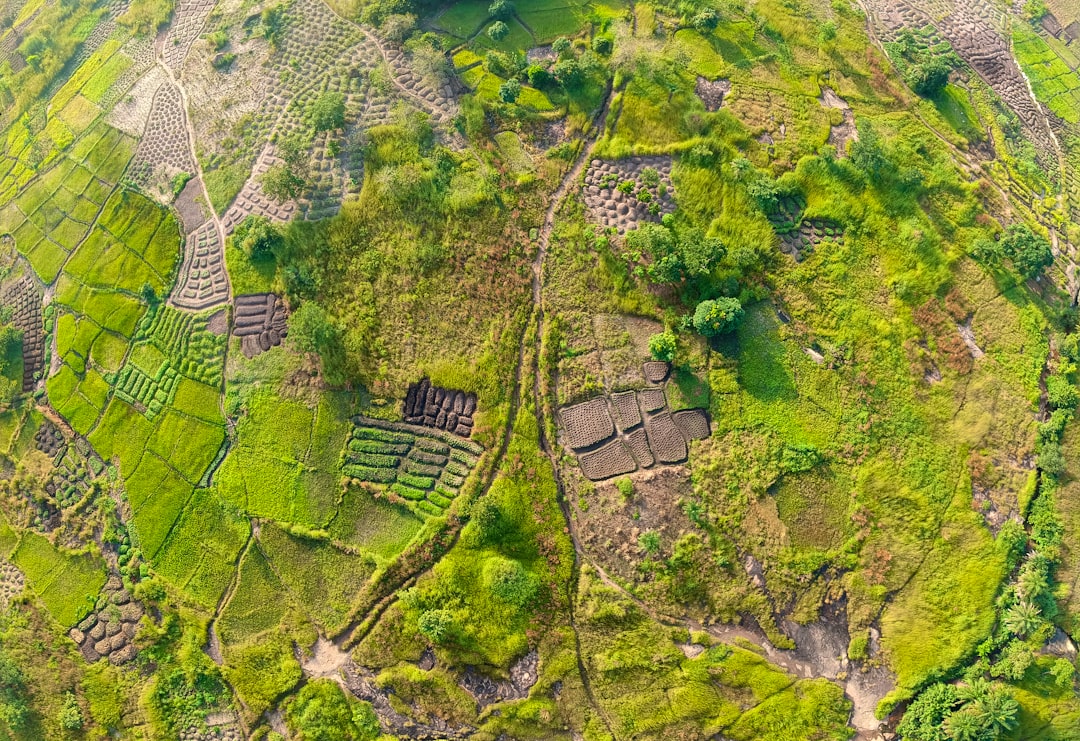 aerial photography of green grass field