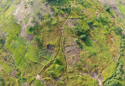 aerial photography of green grass field guinea teams background