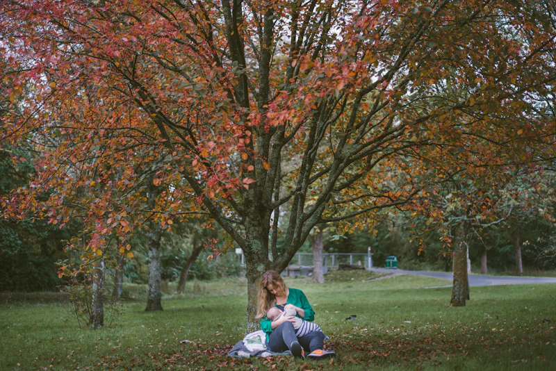 Close-up of a supportive nursing setup with soft pillows and a peaceful feeding environment
