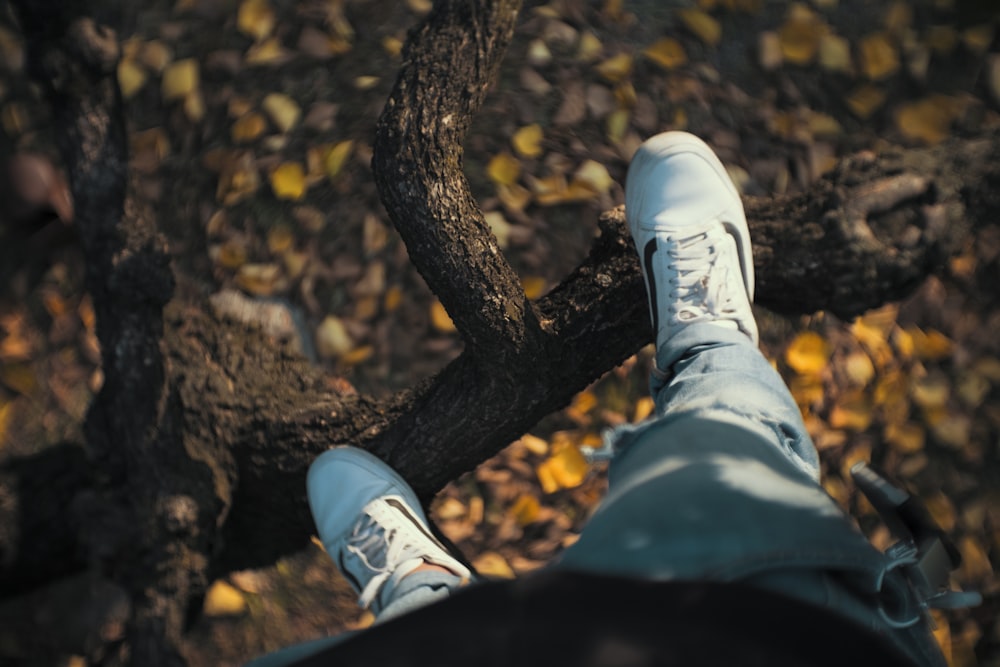 person standing on tree branch