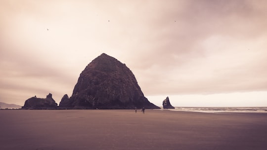 two persons walking on sand near mountain in Haystack Rock United States