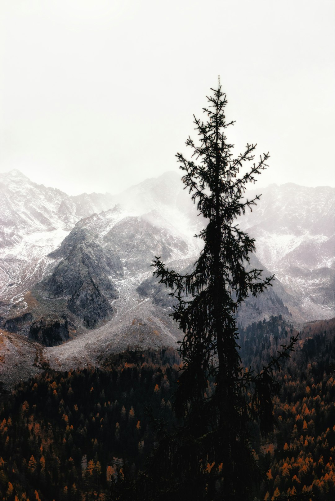 Mountain range photo spot Rieserferner-Ahrn Nature Park Valle Aurina