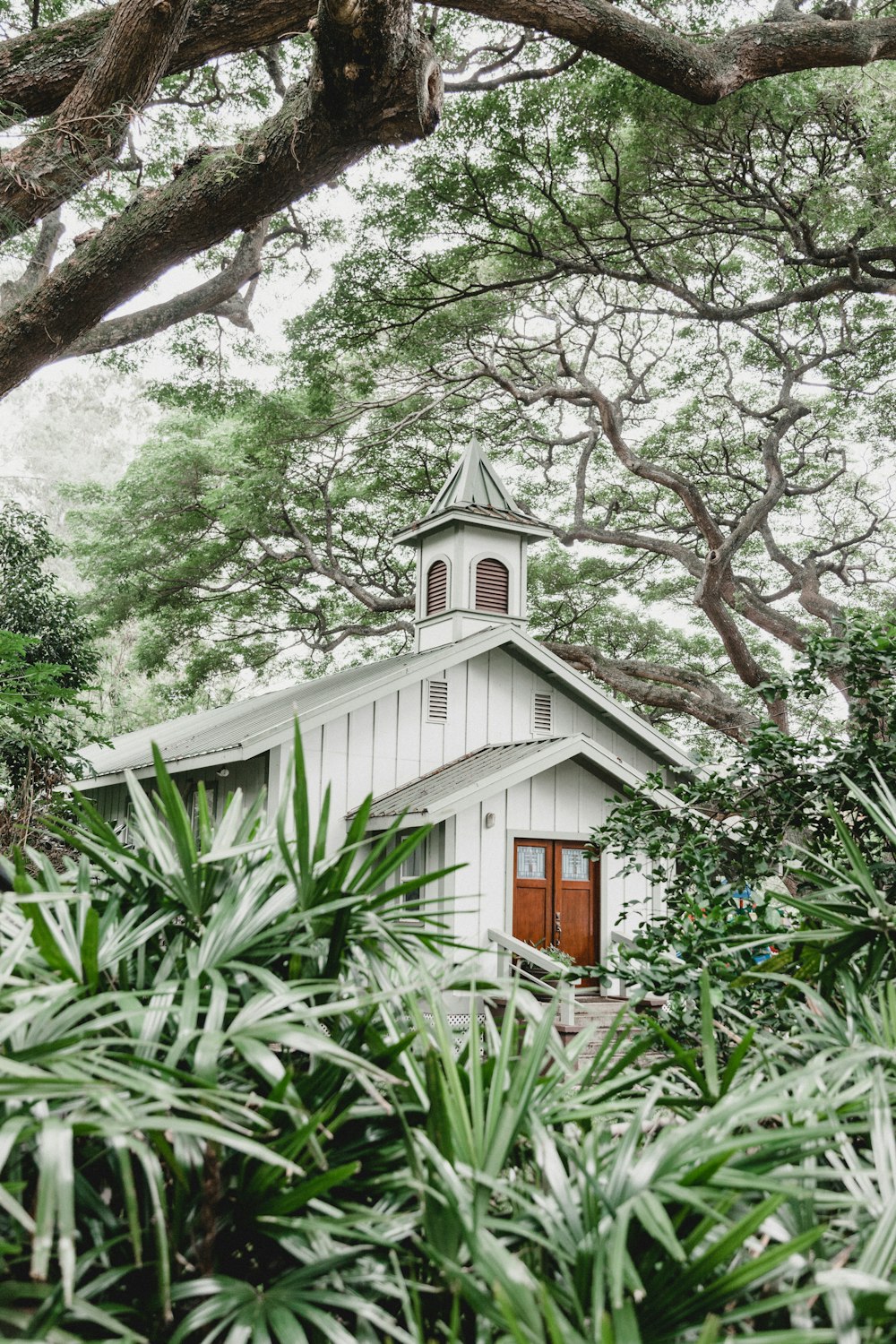 木の近くの白い木造の教会