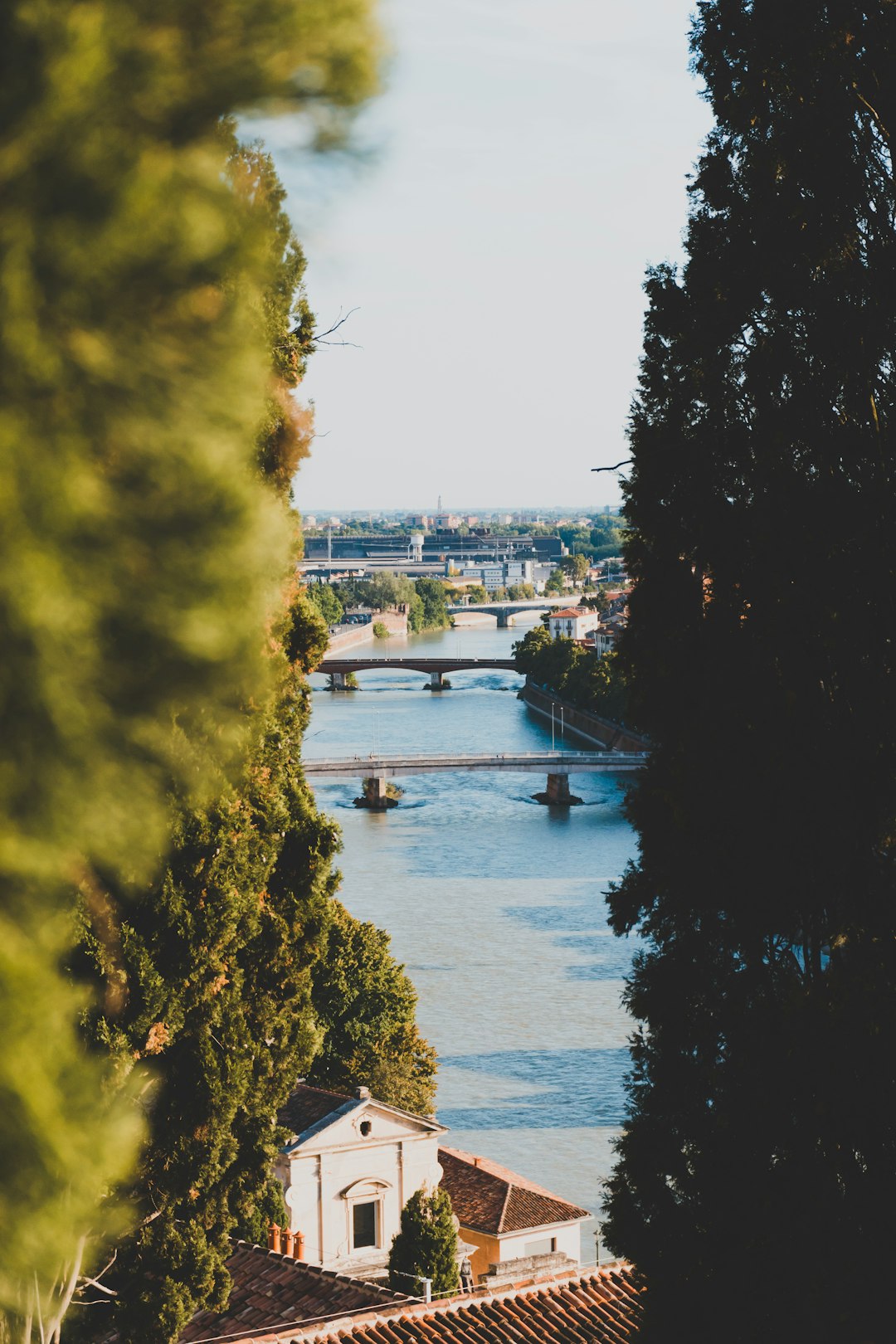 gray concrete bridge in between city buildings