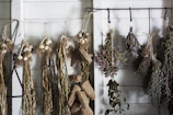 Herbs drying in bunches hanging in a cozy kitchen space.
