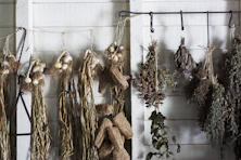 assorted plants hanging on white and black metal hook