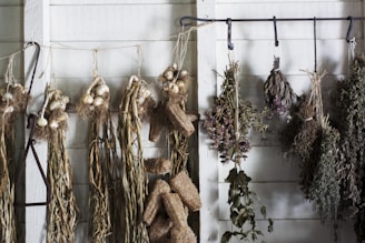A cozy corner with bundles of fresh herbs hanging to dry against a soft, sunlit wall.