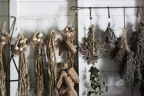 Herbs drying in bunches hanging in a cozy kitchen space.