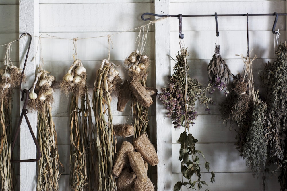 assorted plants hanging on white and black metal hook