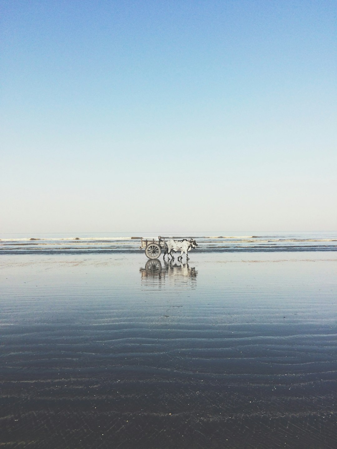 River photo spot Kelwa Beach Maharashtra