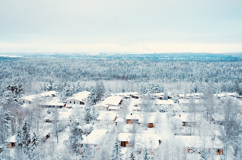 Casas cubiertas de nieve durante el día