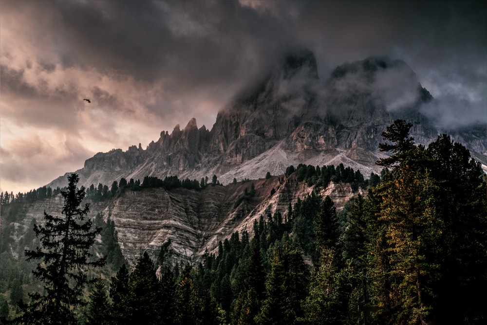 snow cover mountain during gray cloudy skies