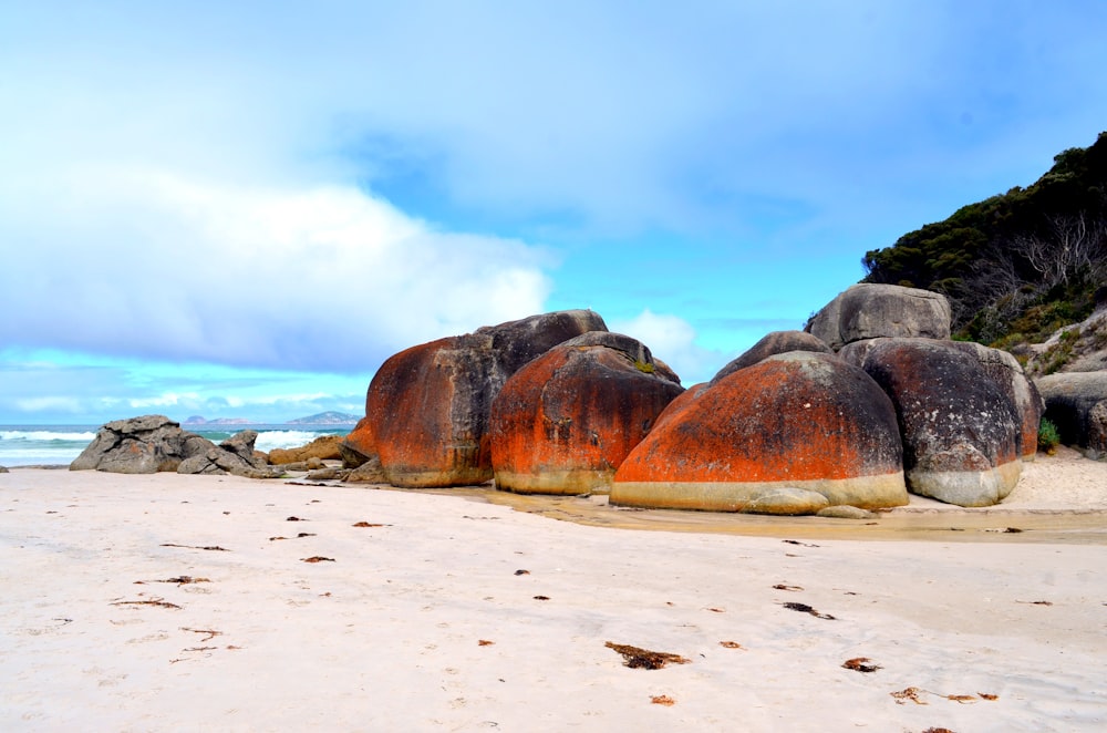 beach during daytime