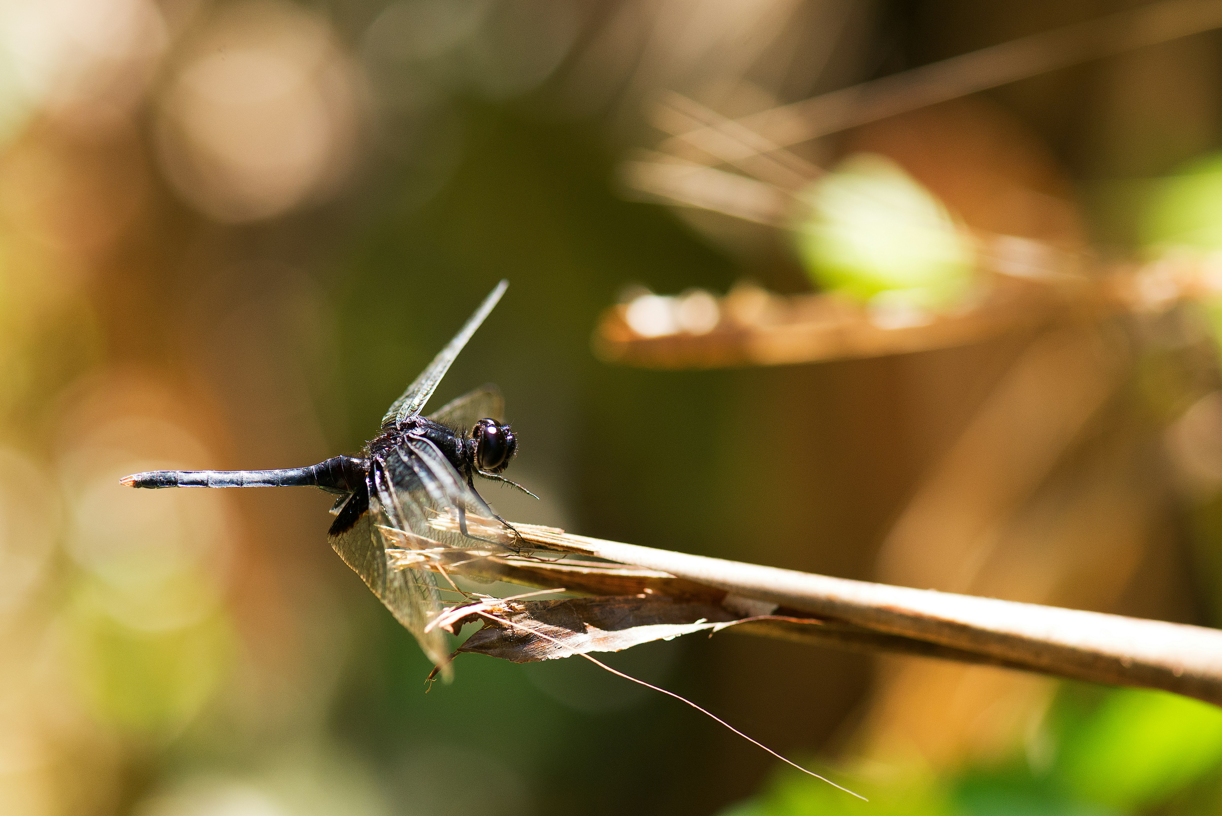 Photo by vincentvanzalinge