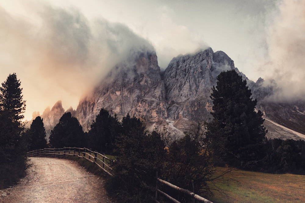 회색 산의 풍경 사진