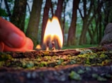 A close-up of two matches burning on a moss-covered surface, with fingers holding one match. The background contains blurred green trees, giving an outdoor nature setting.