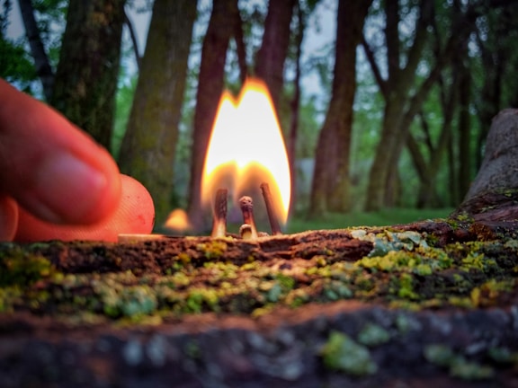 A close-up of two matches burning on a moss-covered surface, with fingers holding one match. The background contains blurred green trees, giving an outdoor nature setting.
