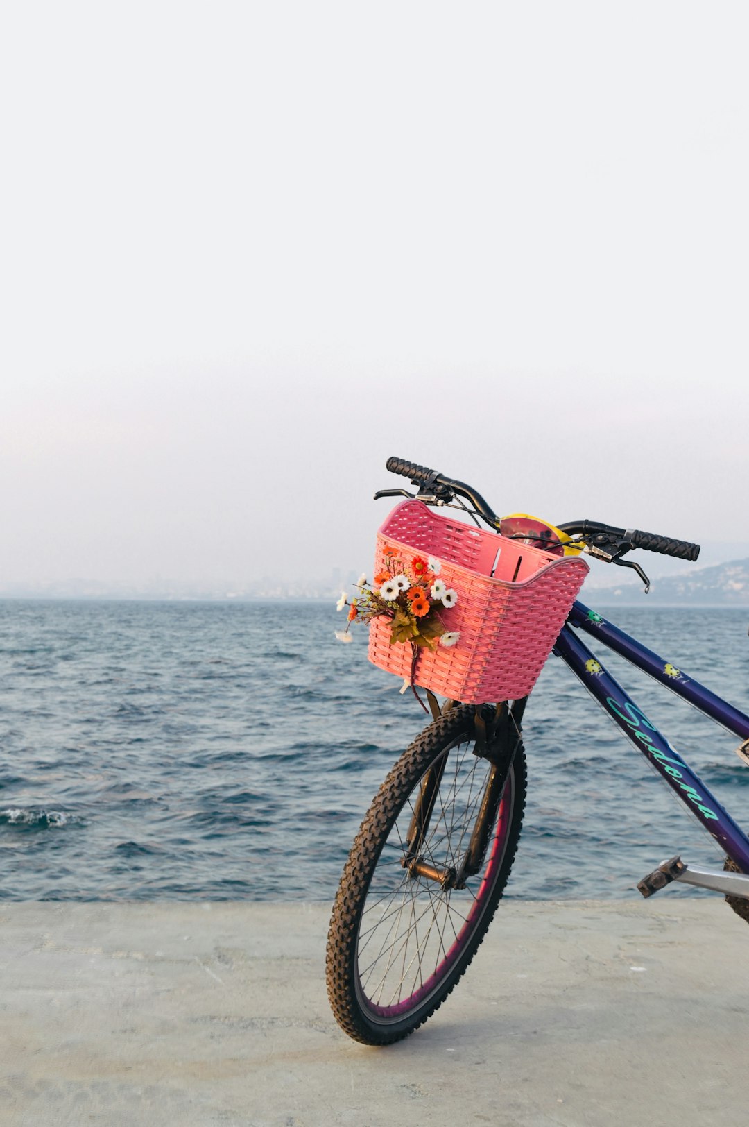 travelers stories about Cycling in Büyükada, Turkey