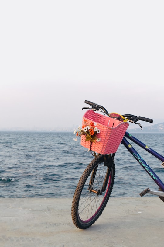 black and blue bicycle with basket in Büyükada Turkey