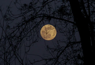 pleine lune octobre 2026 auriôm